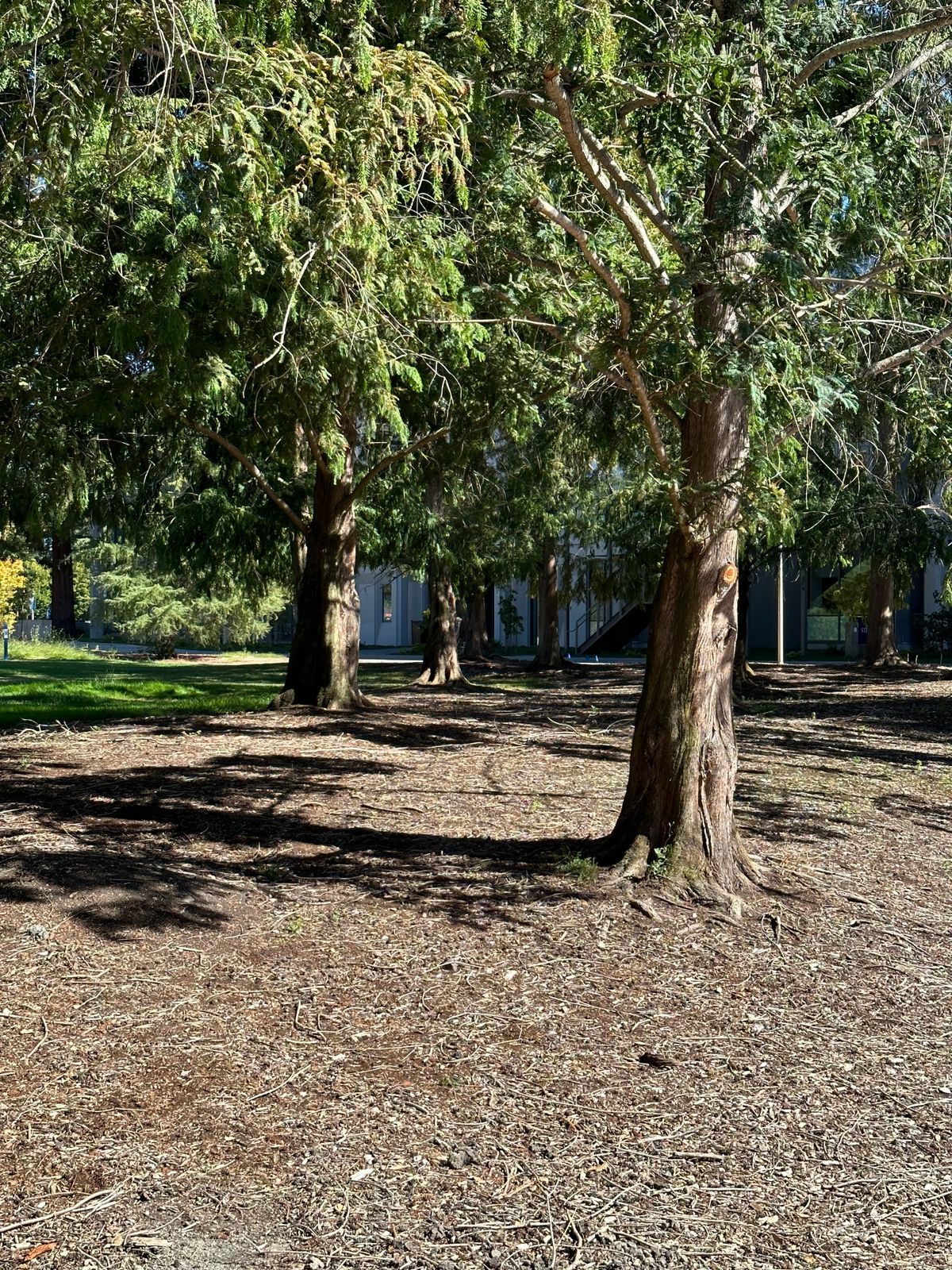 Hole 2 fairway