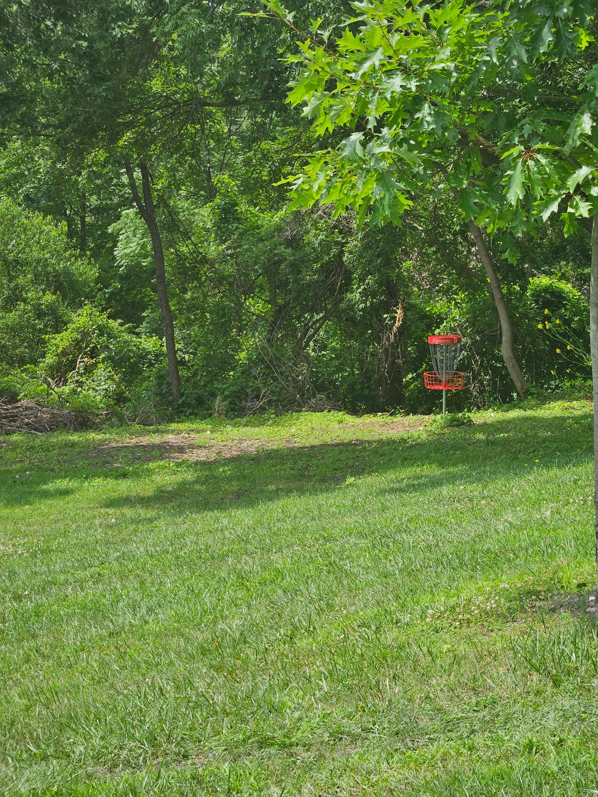 Hole 9 from practice basket