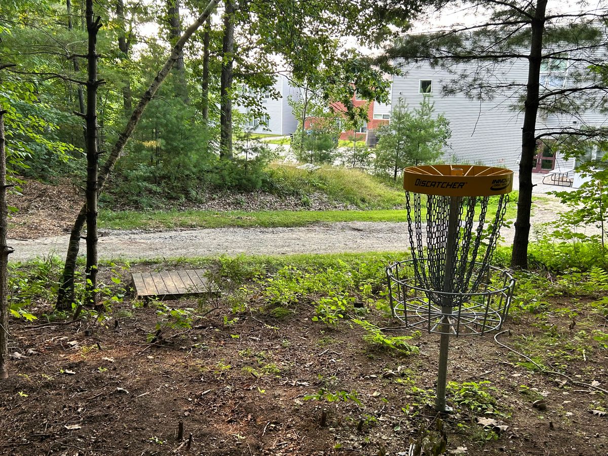 The 9th hole is cleared up and cleaned out, and we added a small footbridge to ease the transition to the pathway back to the parking lot.