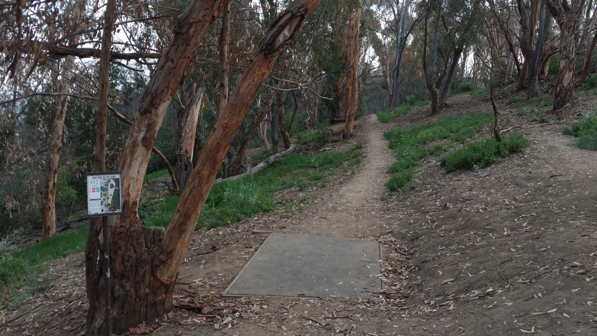 Old Hole 12, before the trees came out 2016