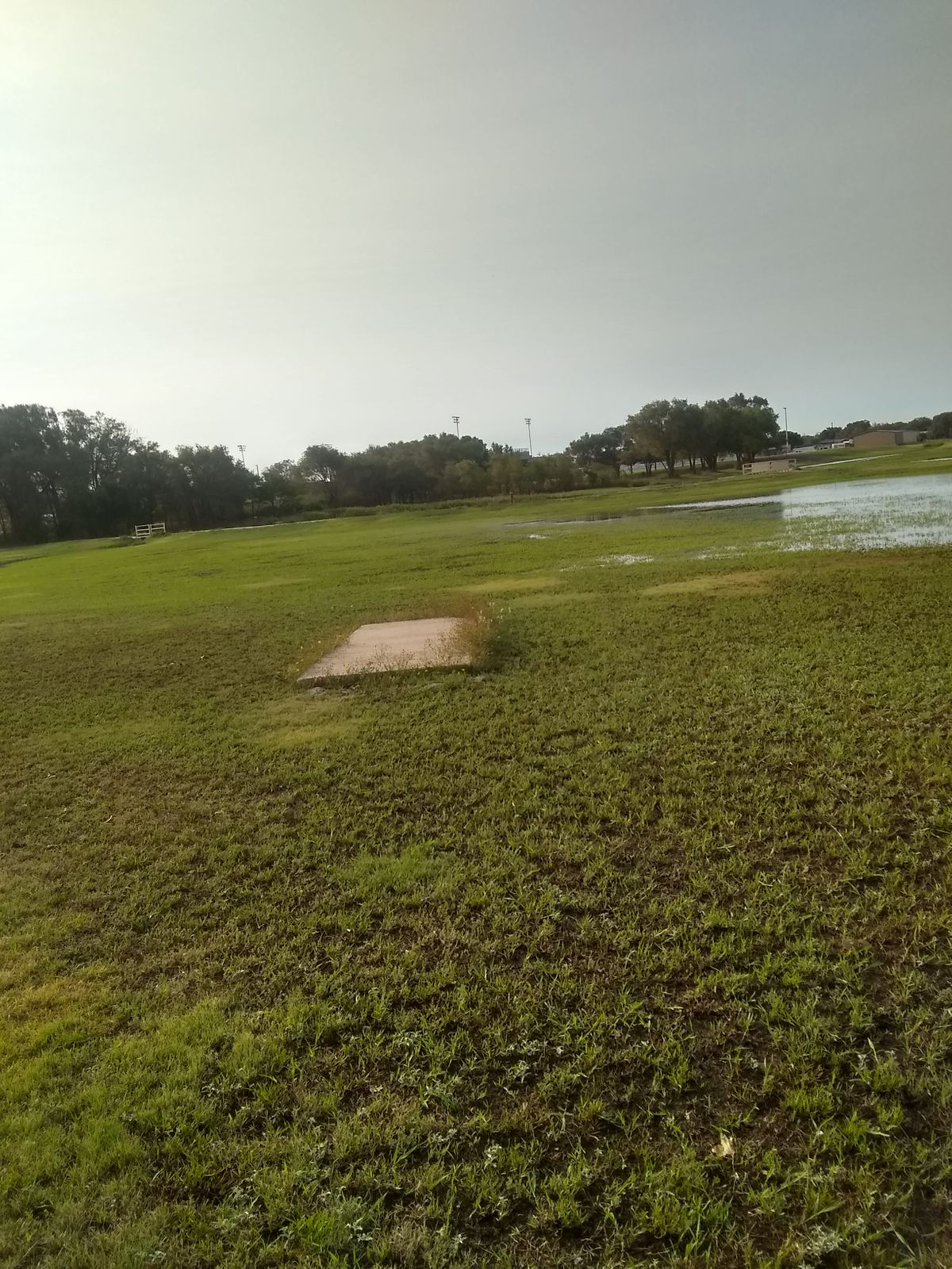 Tee Box #4