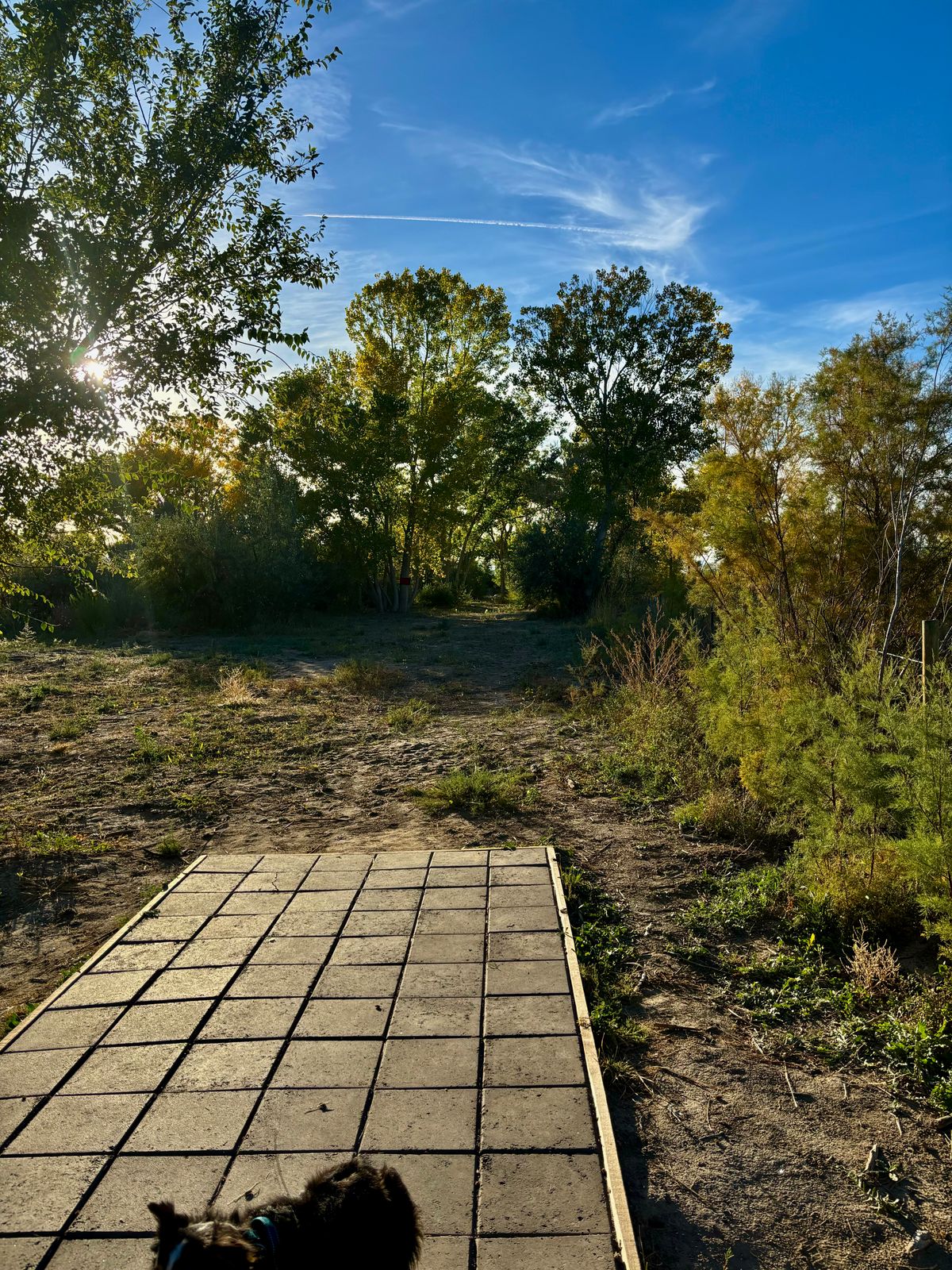 Hole 9