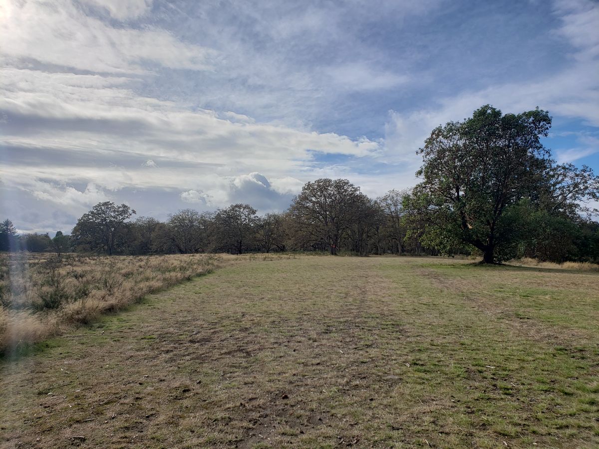 8 fairway just off tee.