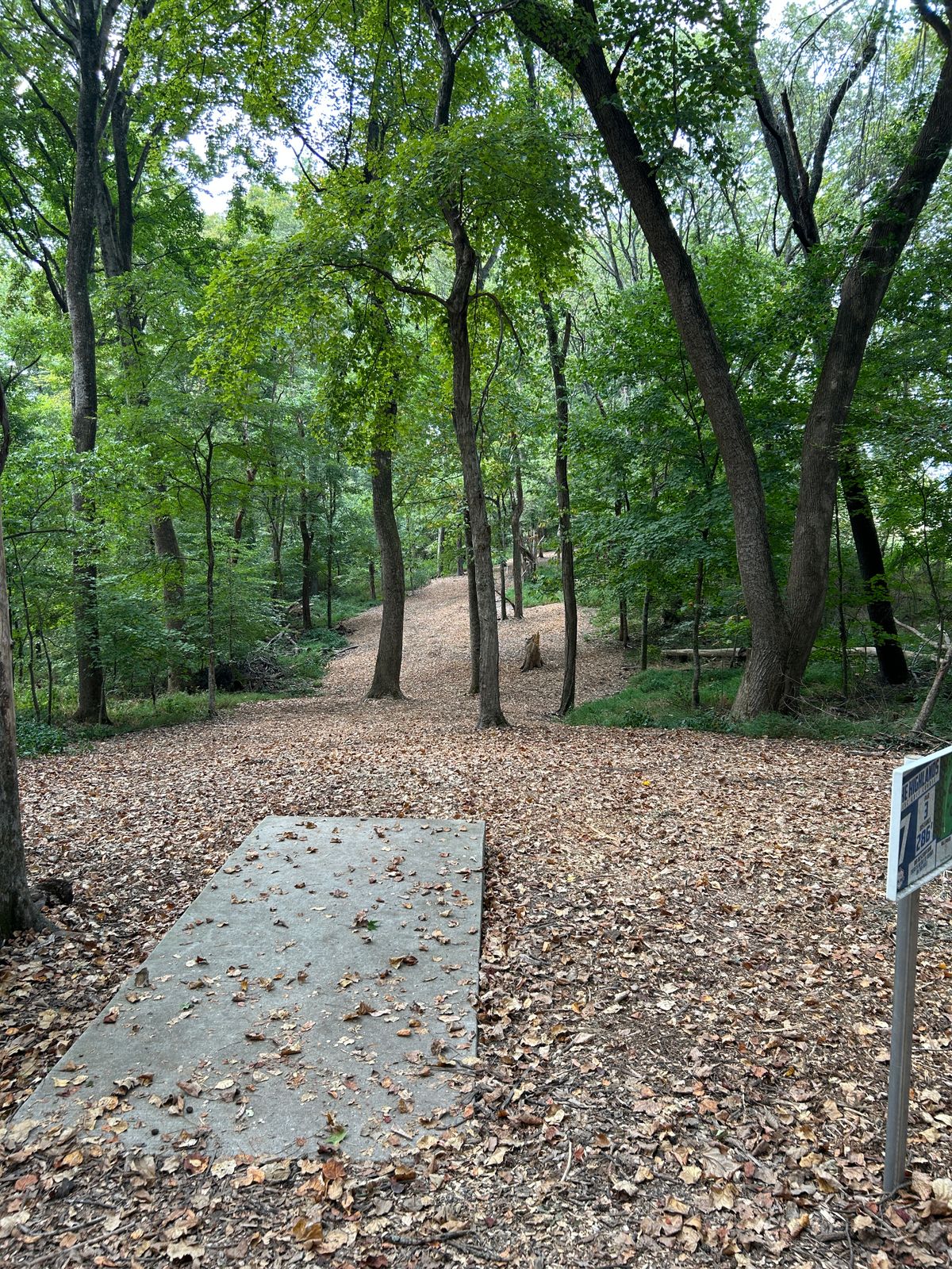 Hole 7 tee