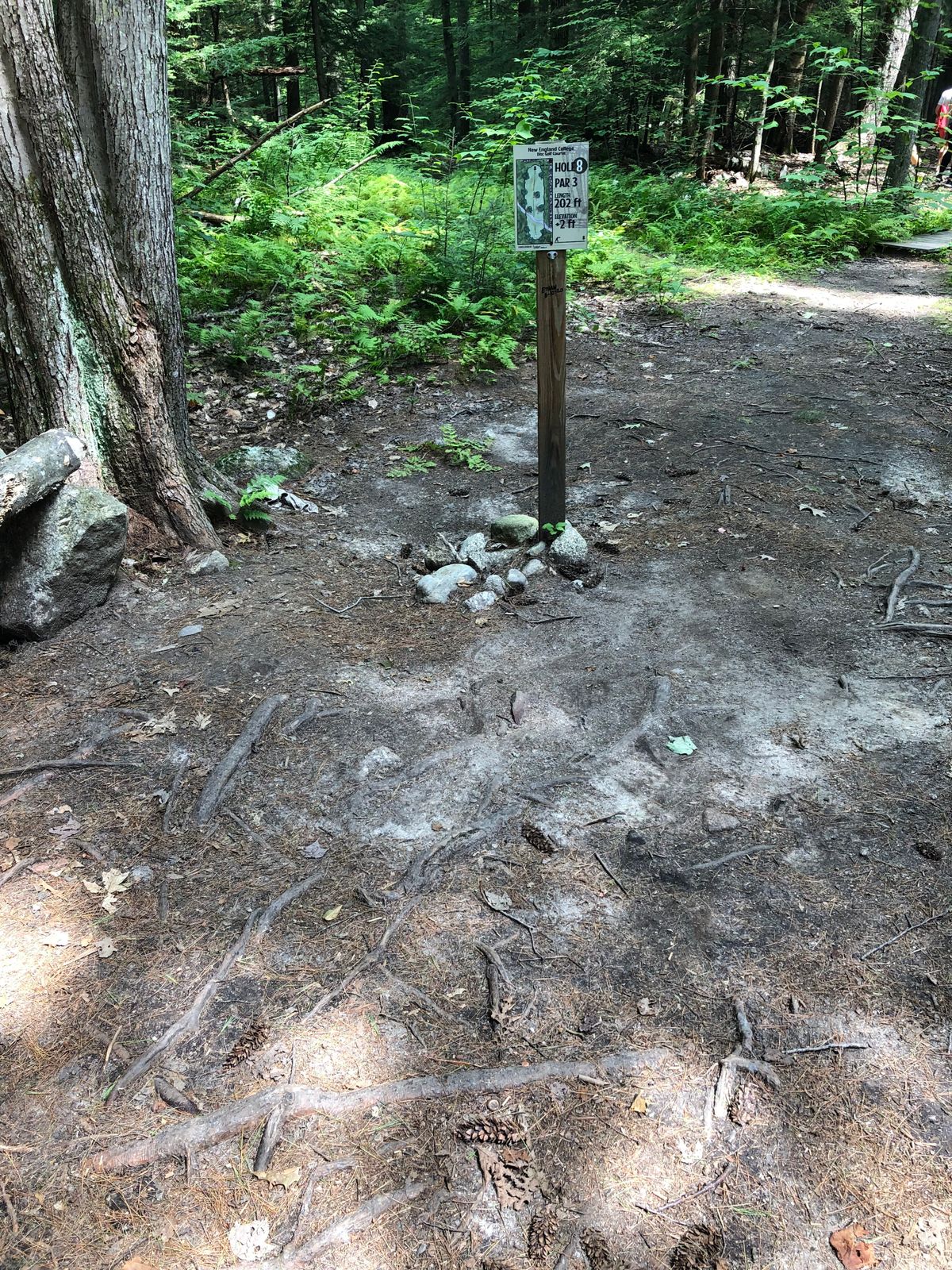 Tee pad