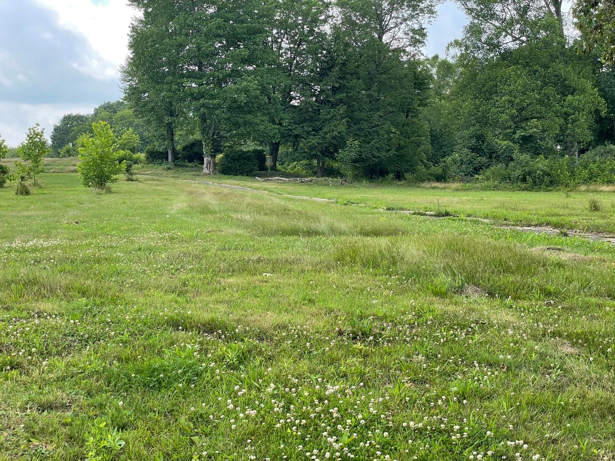 Top edge of hill, midpoint between white tee and basket, looking to basket in grove.