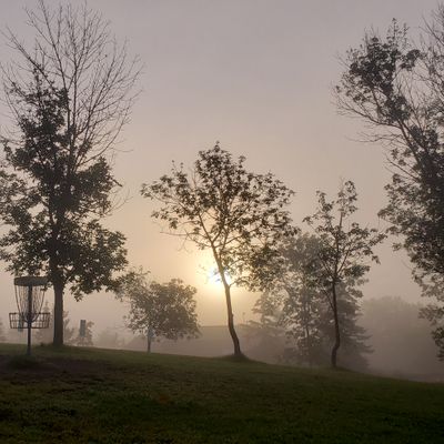 Foggy morning