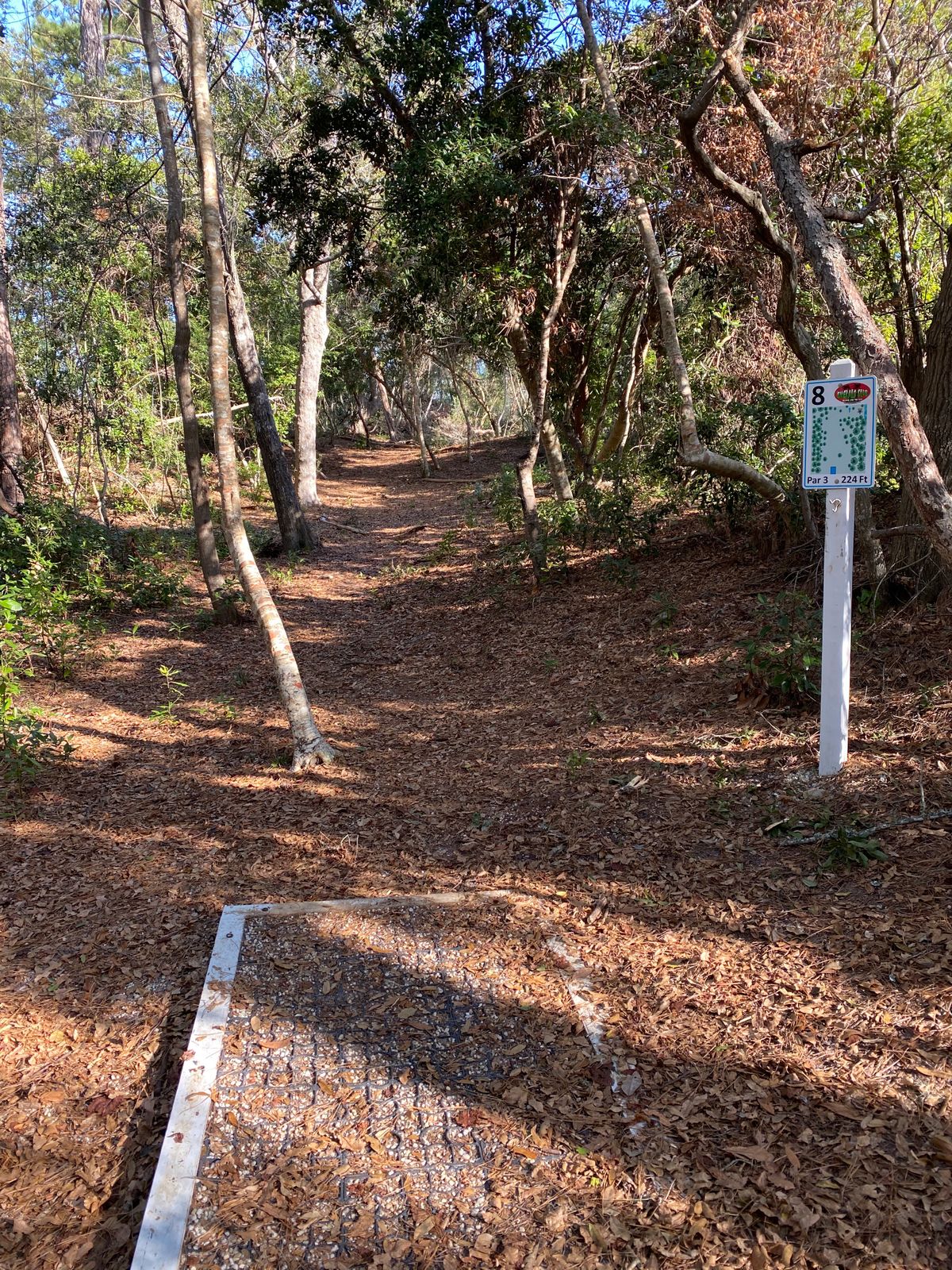 hole 8