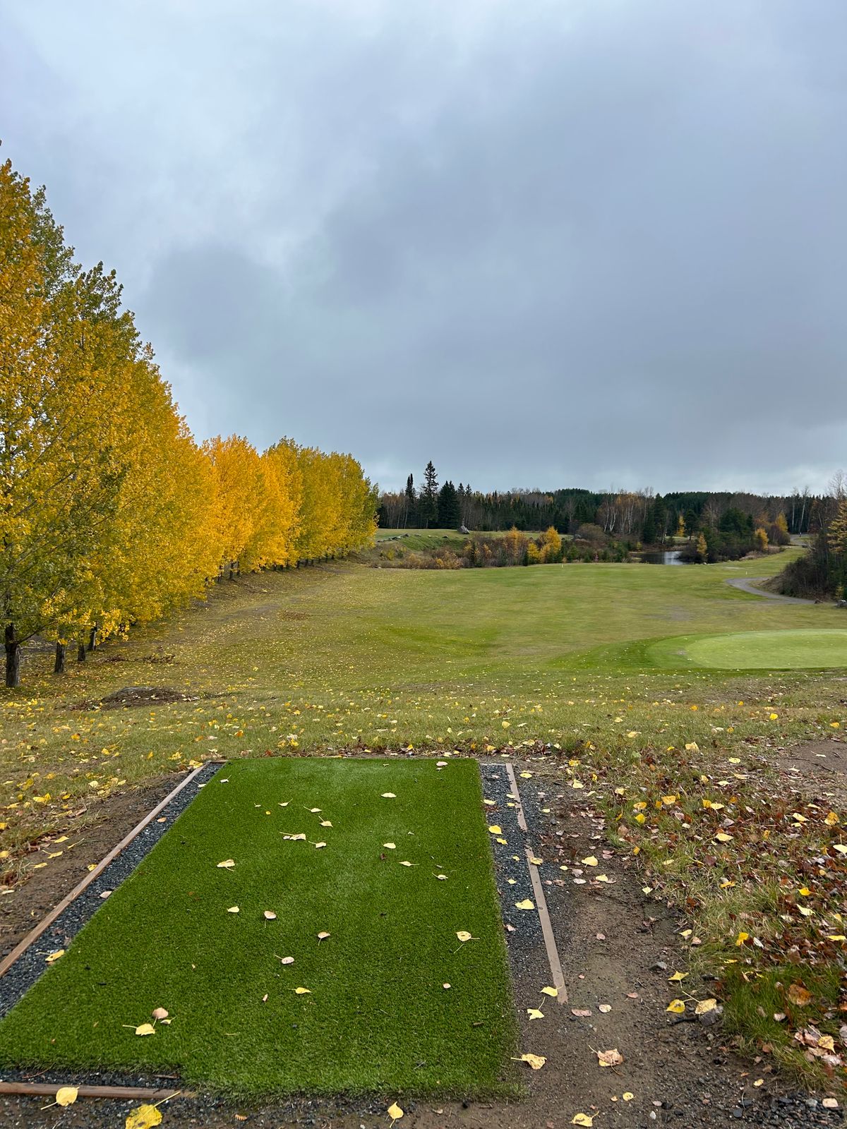 Hole 7 teepad - basket is not to the right, but up on the hill over the pond.
