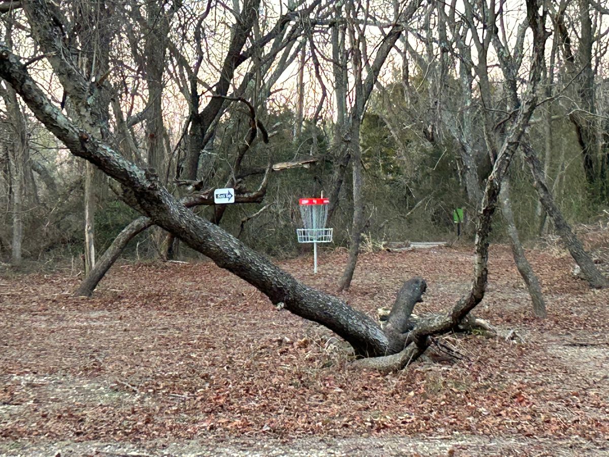 Heavily guarded basket on 4
