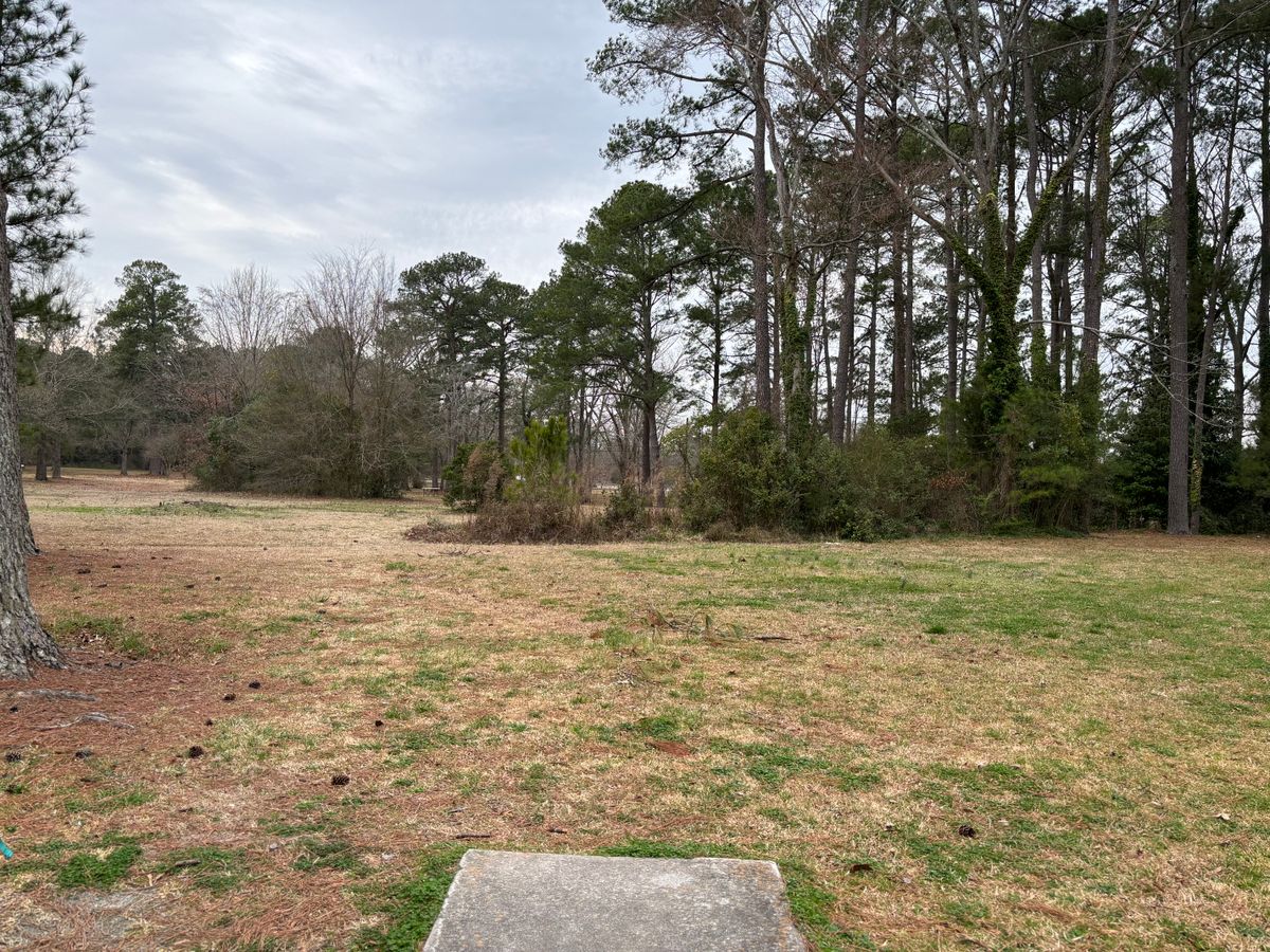 Hole 18 shorts