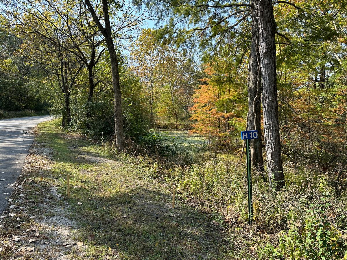 Hole 10 Long Tee
