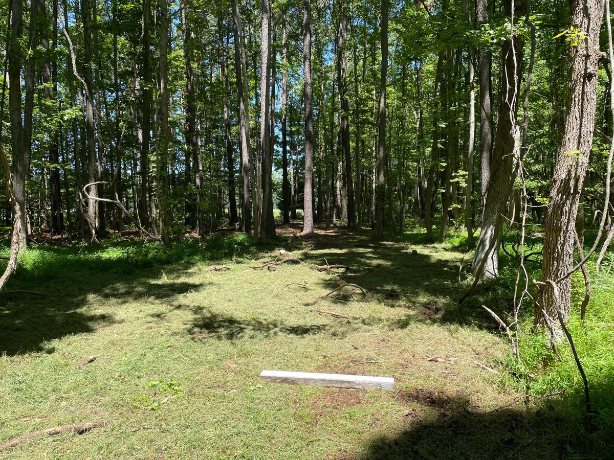Hole 5 white tee