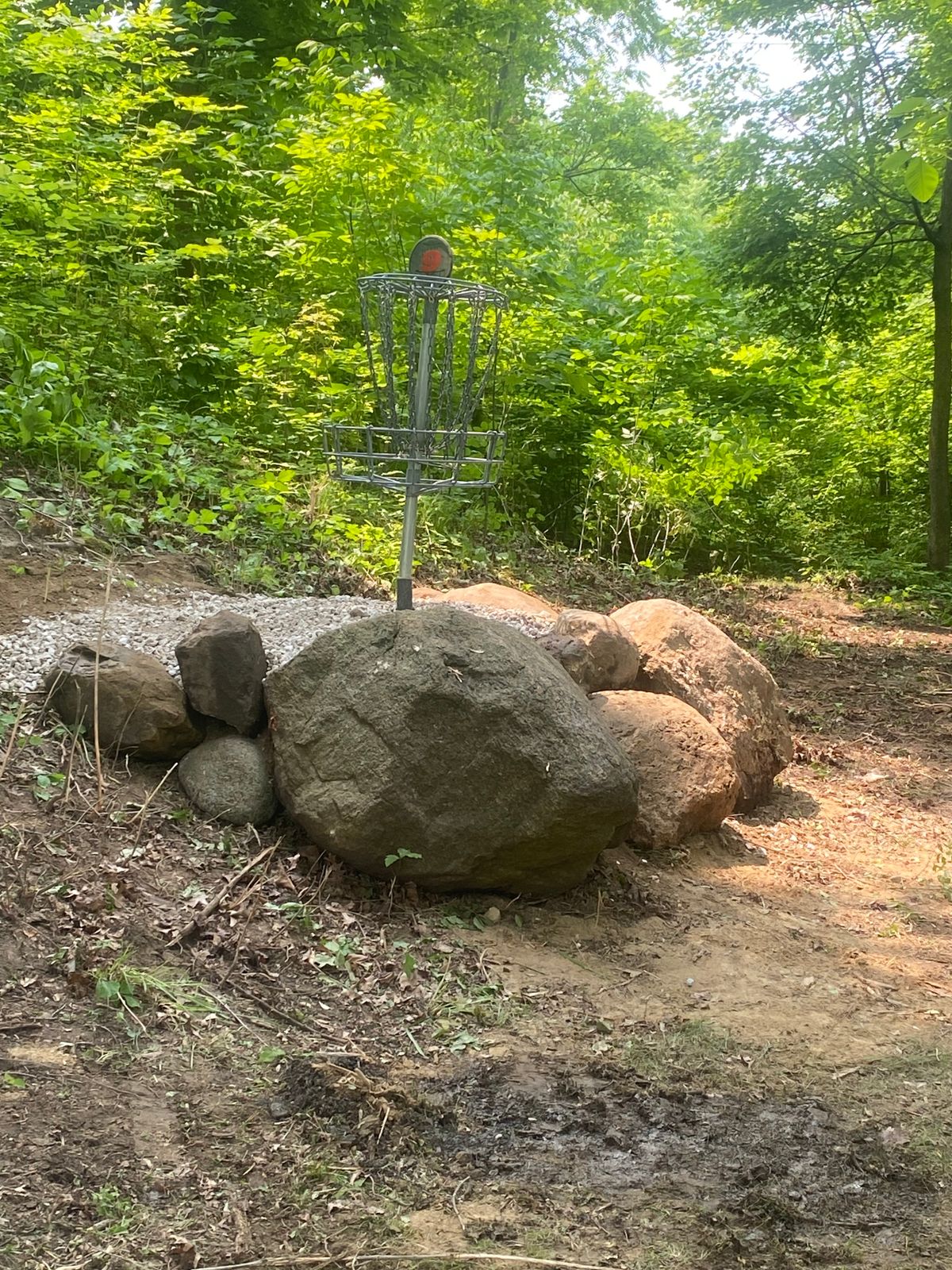 New Hole 9 location.