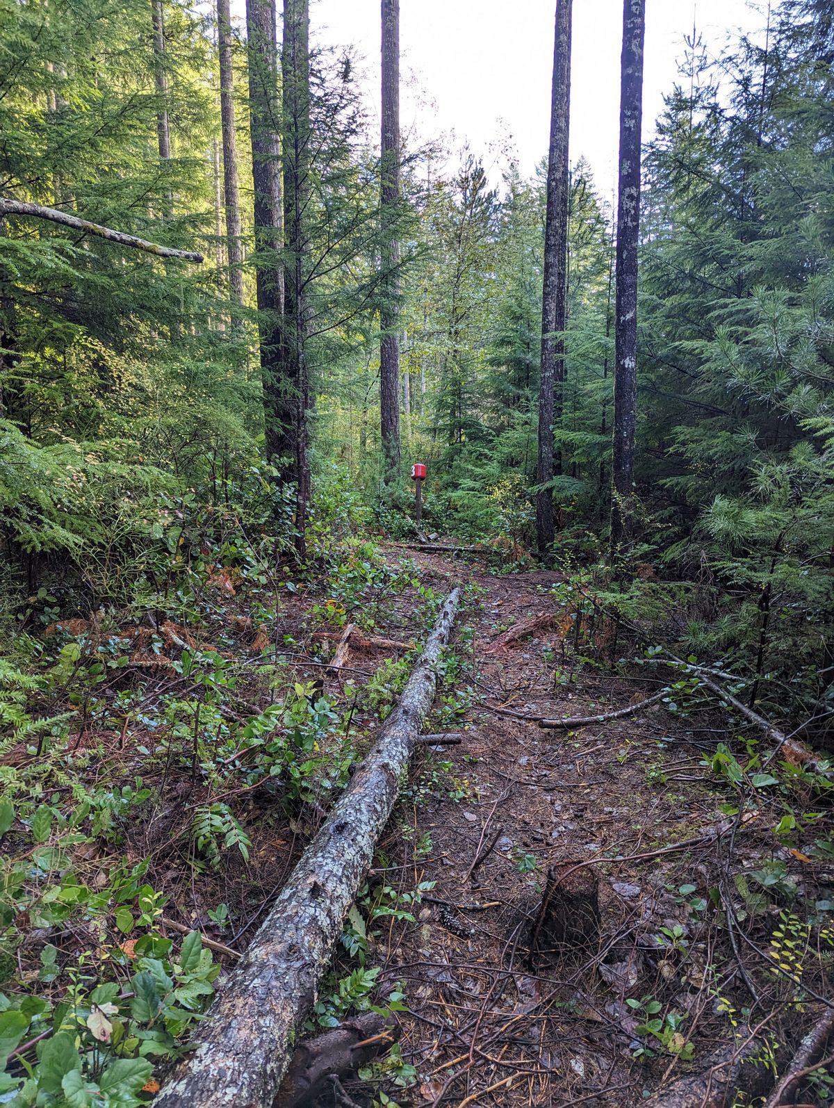 Narrow hole 3