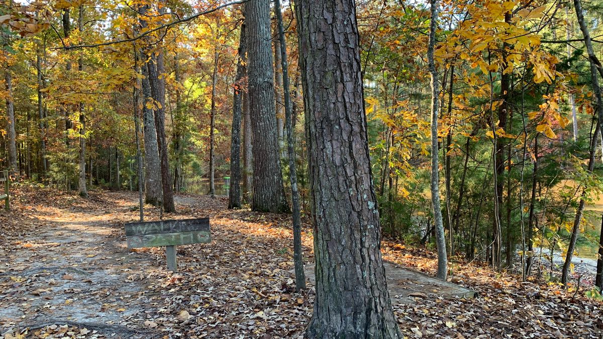 Hole 10