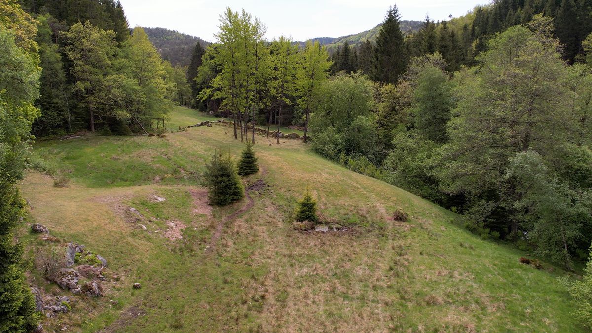 Landing zone from tee on Hole 2.