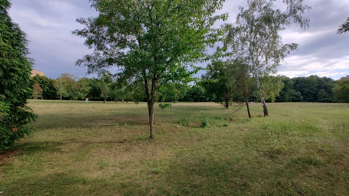 Hole #7 (view from t-pad #6)