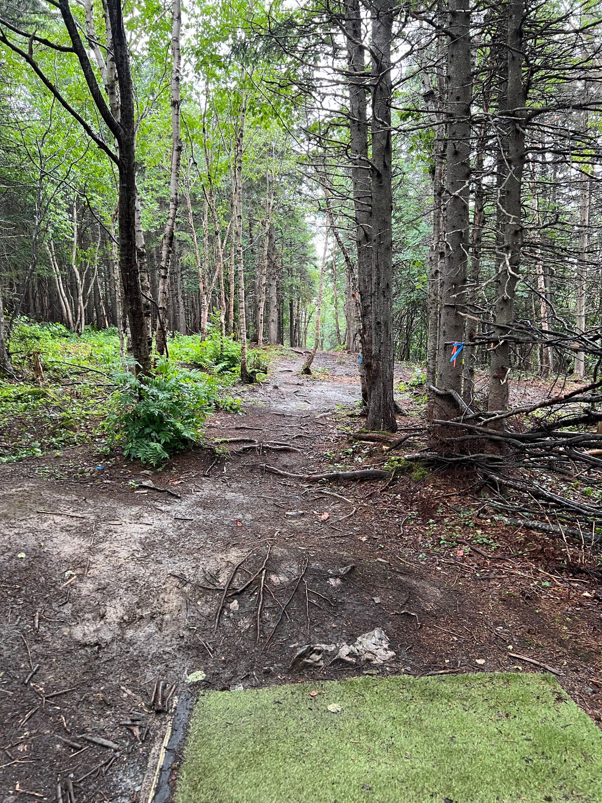 Hole 17 Tee