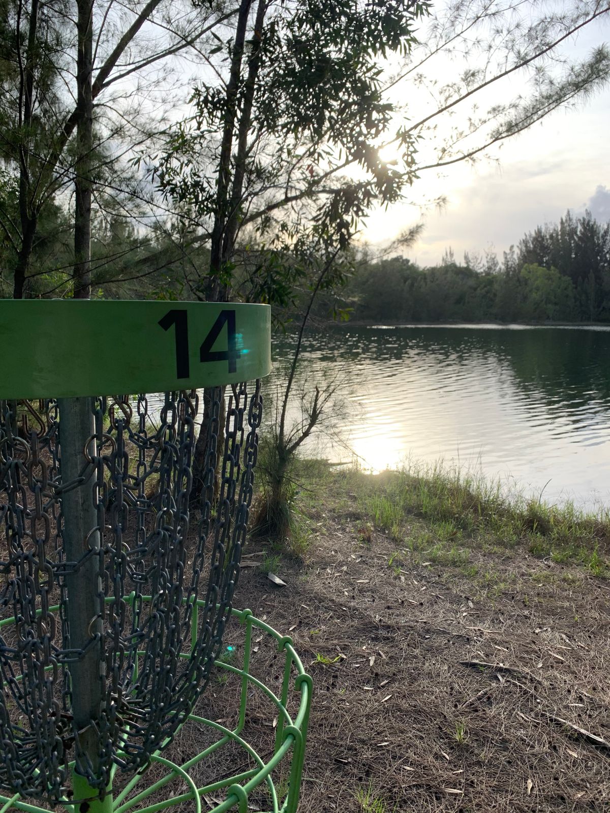 Basket 14 at sunset.
