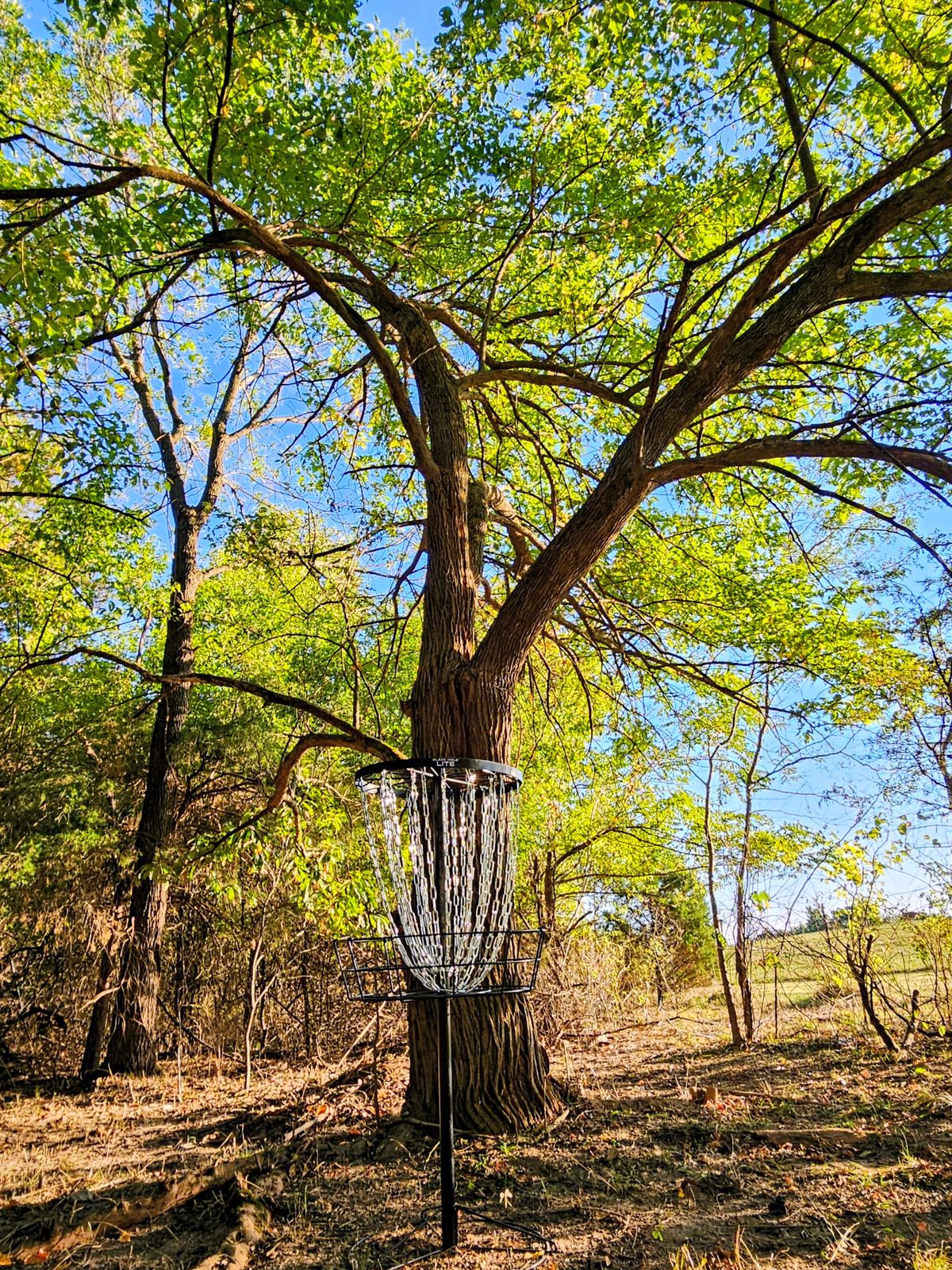 Hole 11