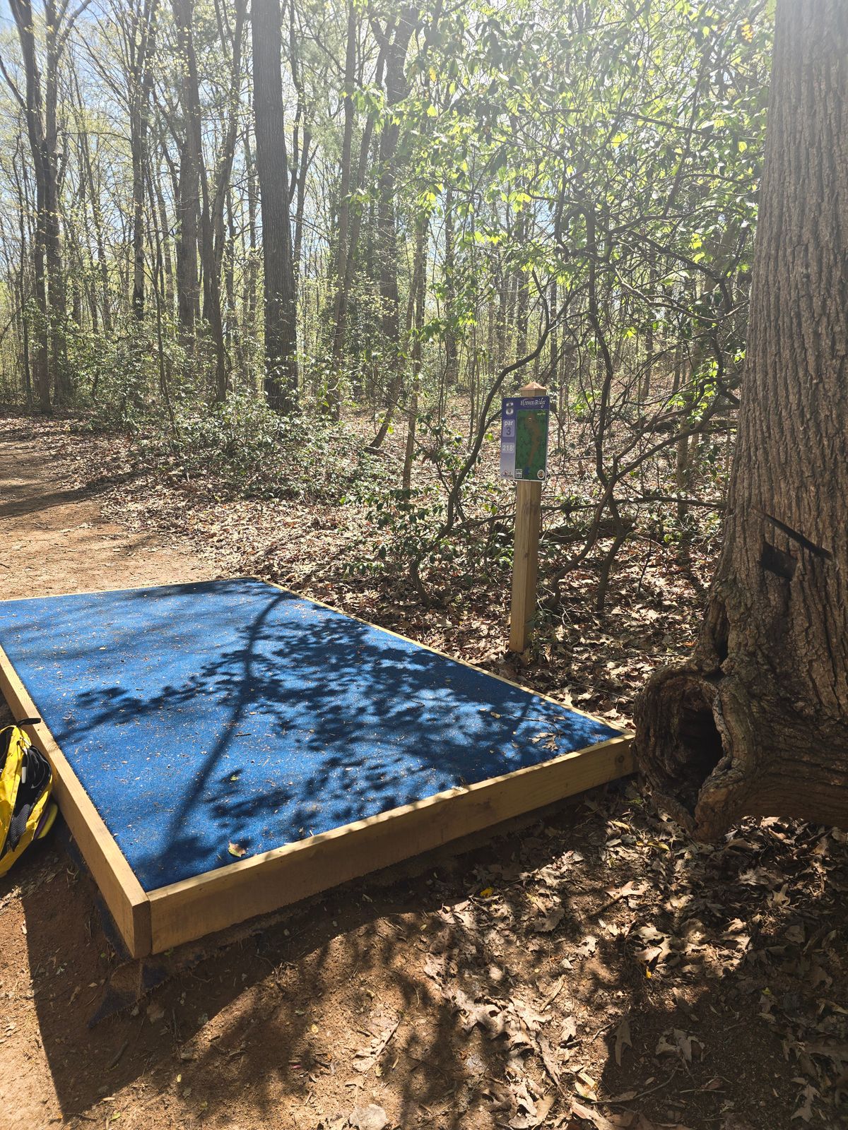 Hole 8 Tee
