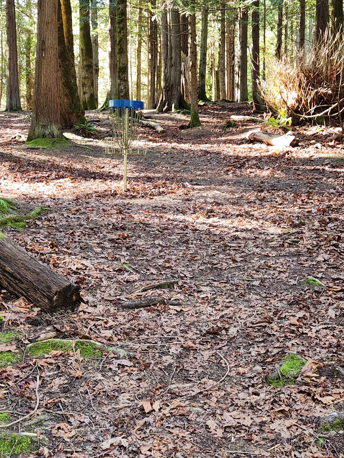 Hole 17 - Blue Green