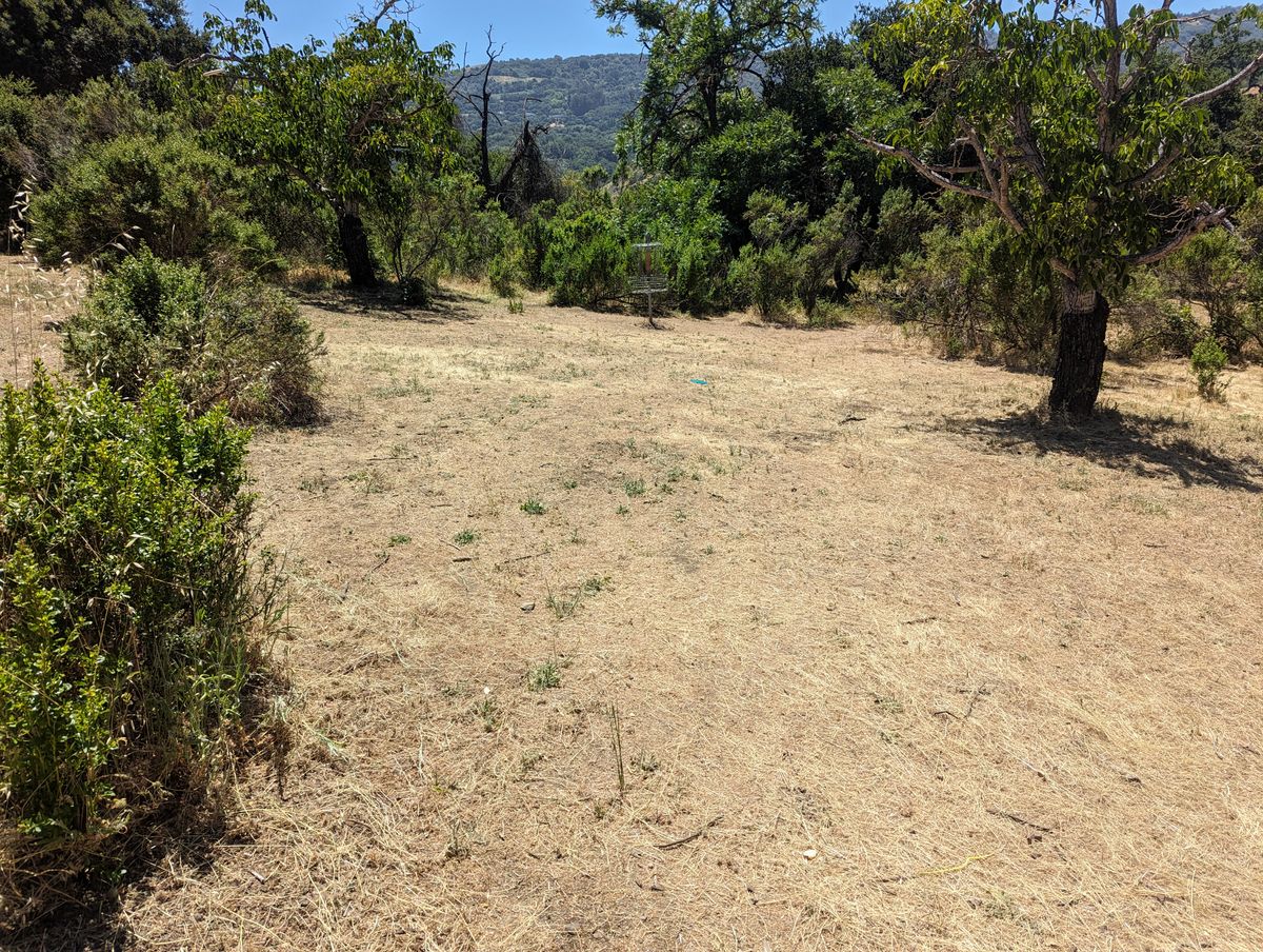 Hole 9 basket C position (hard right out the tunnel)