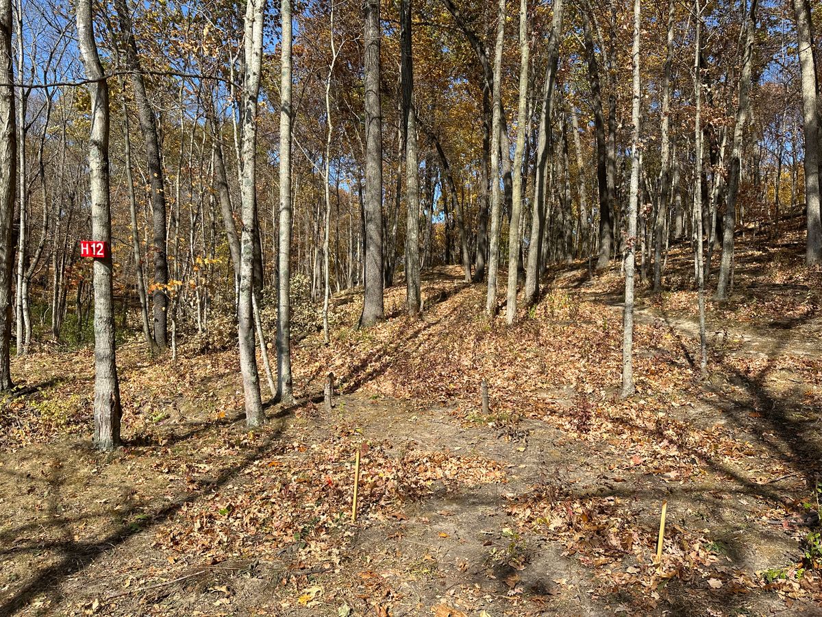 Hole 12 short tee