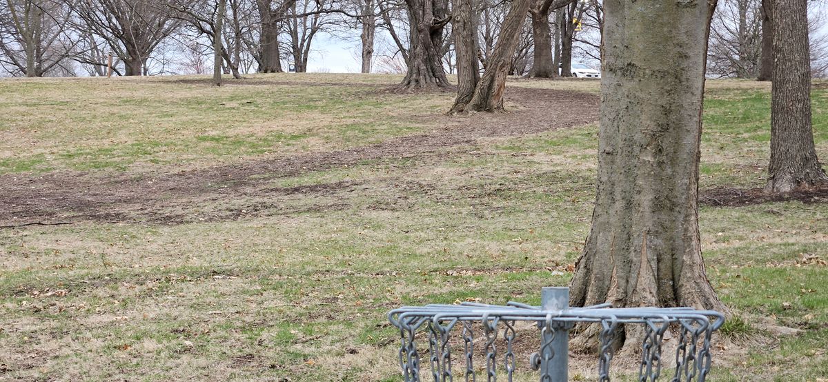 Hole 2 Basket