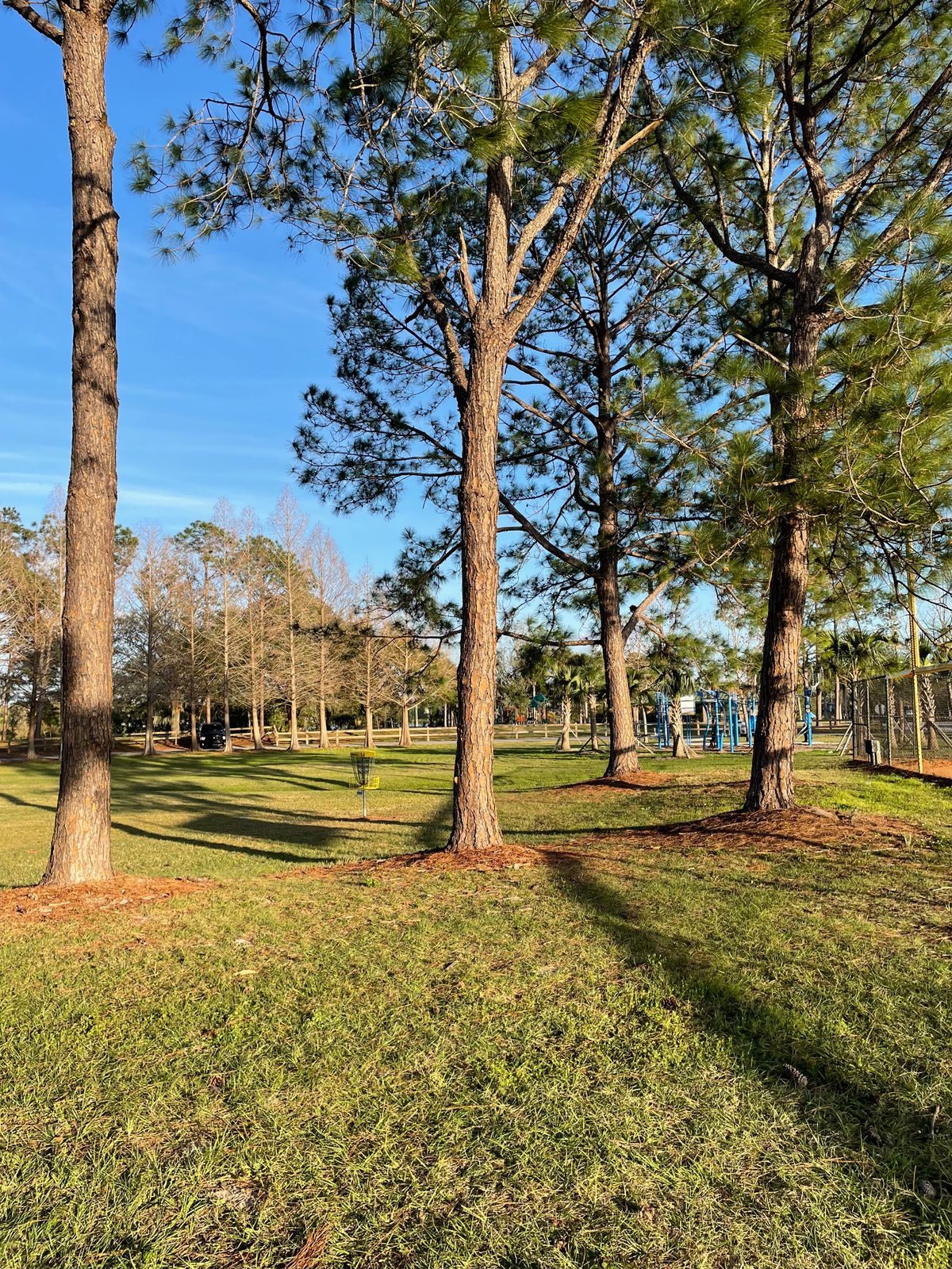 Hole 14