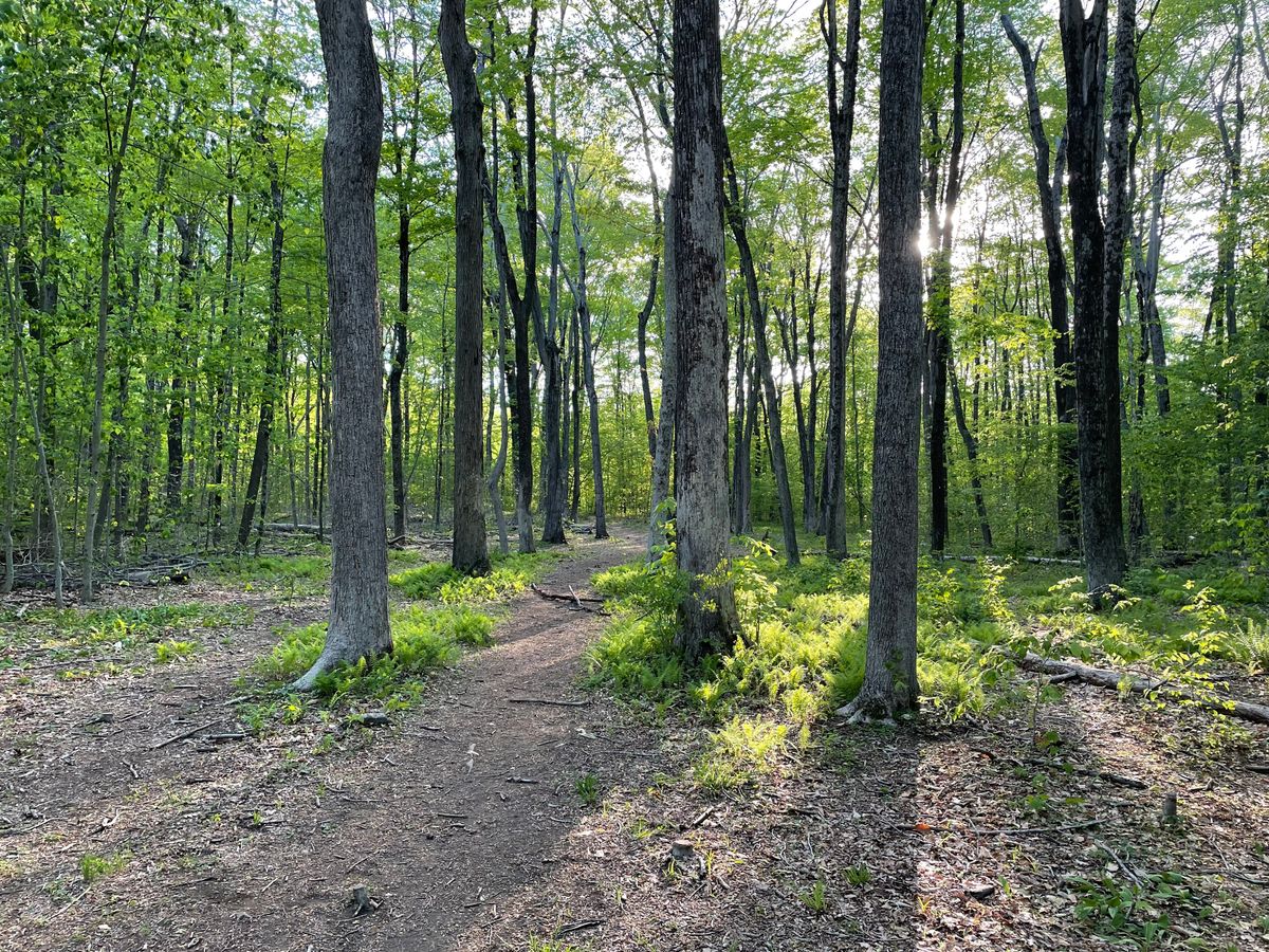 Hole 13