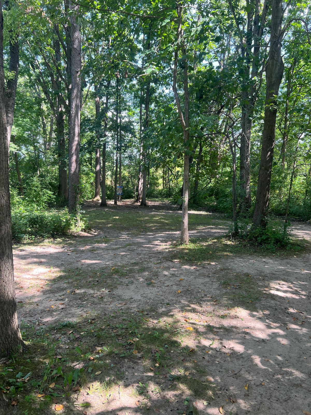 Hole 3 - Short Approach