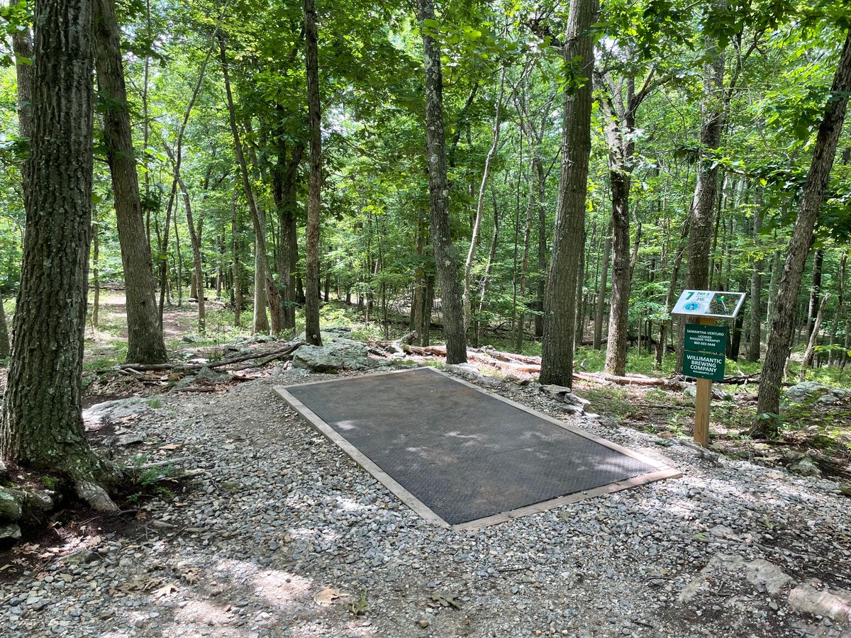 Hole 7 tee pad