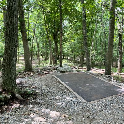Hole 7 tee pad