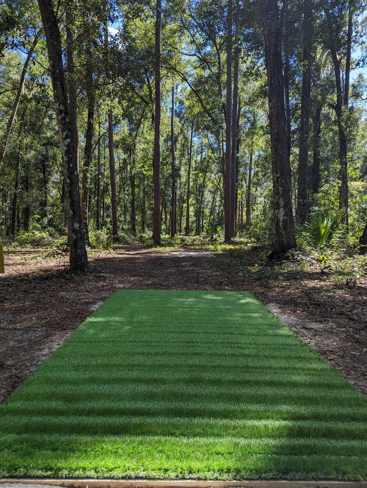 Hole 7