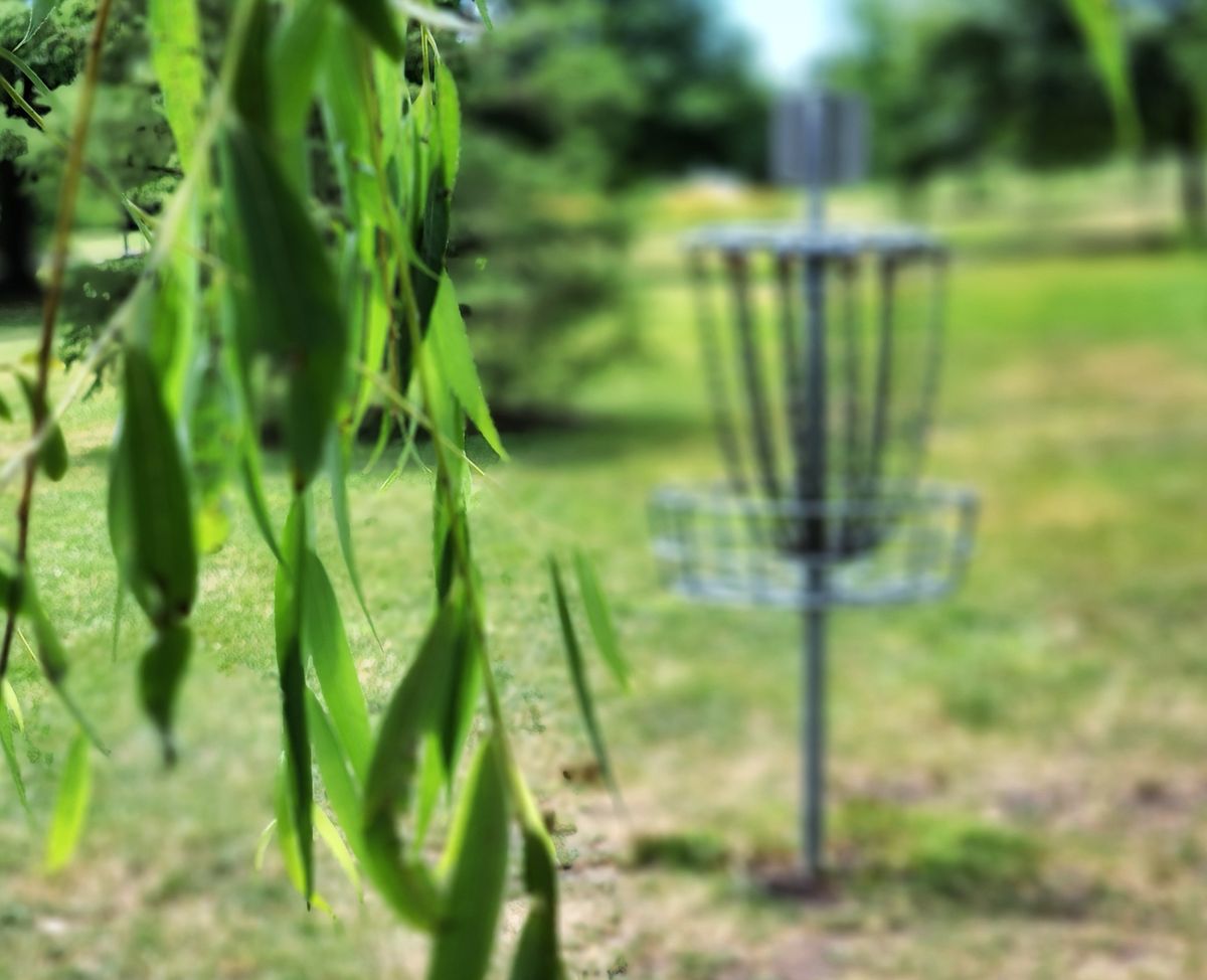 Went long on 7 here, landed under willow.