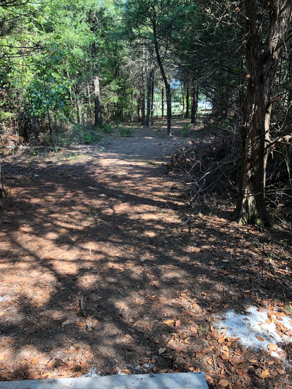 Hole 5
