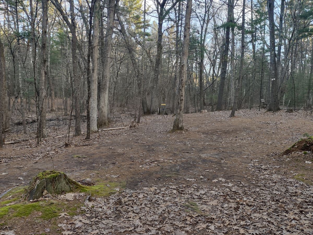 Hole 14 midway down fairway