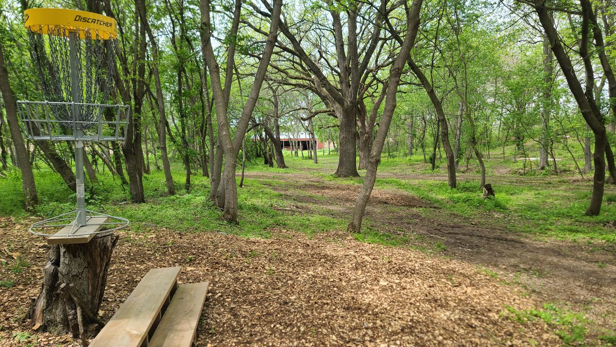View back to the barn from 6/15 basket