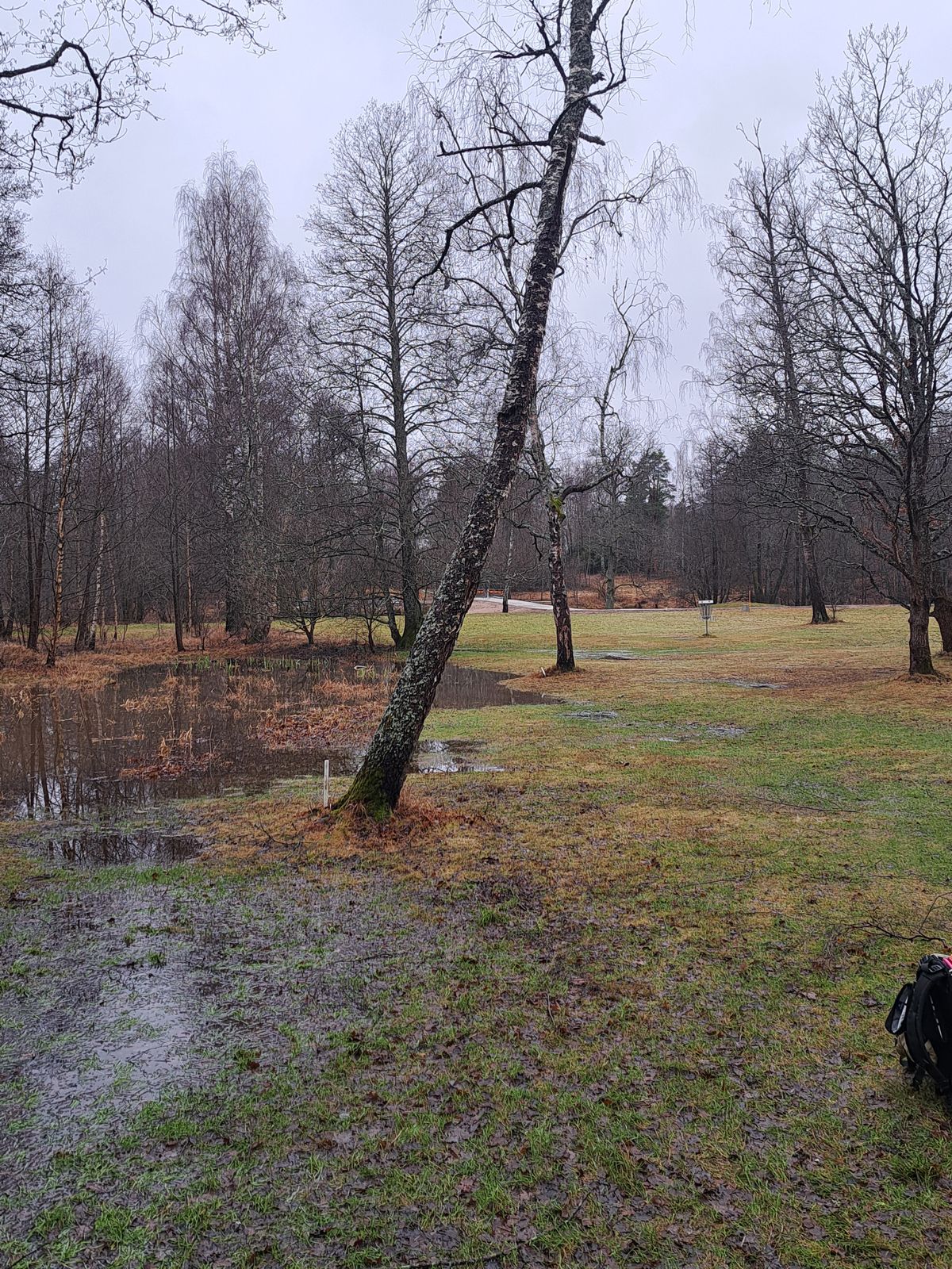 Hål 9, 24:e januari