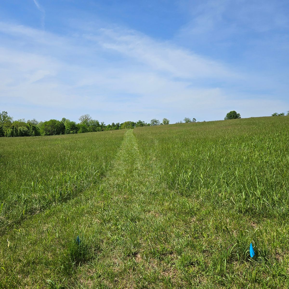 Hole 5