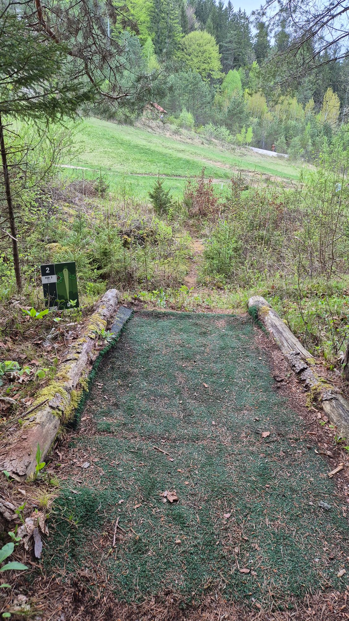 Hole 2