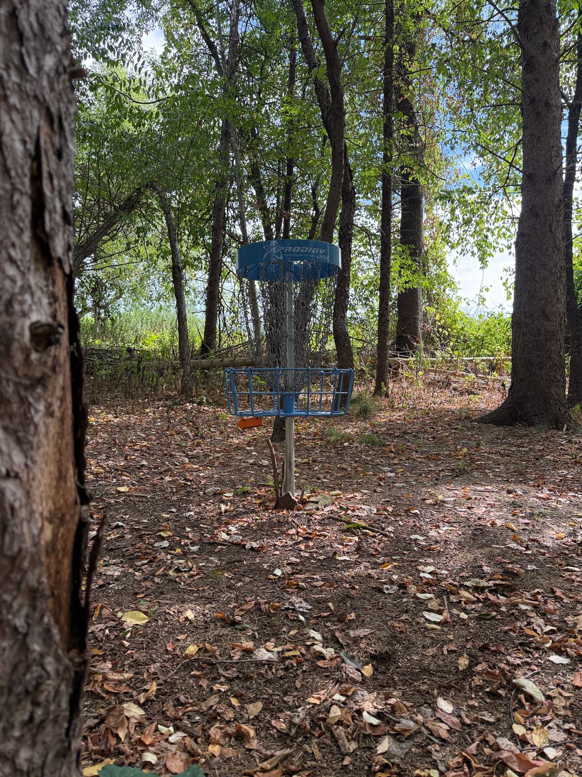 Hole #7’s basket