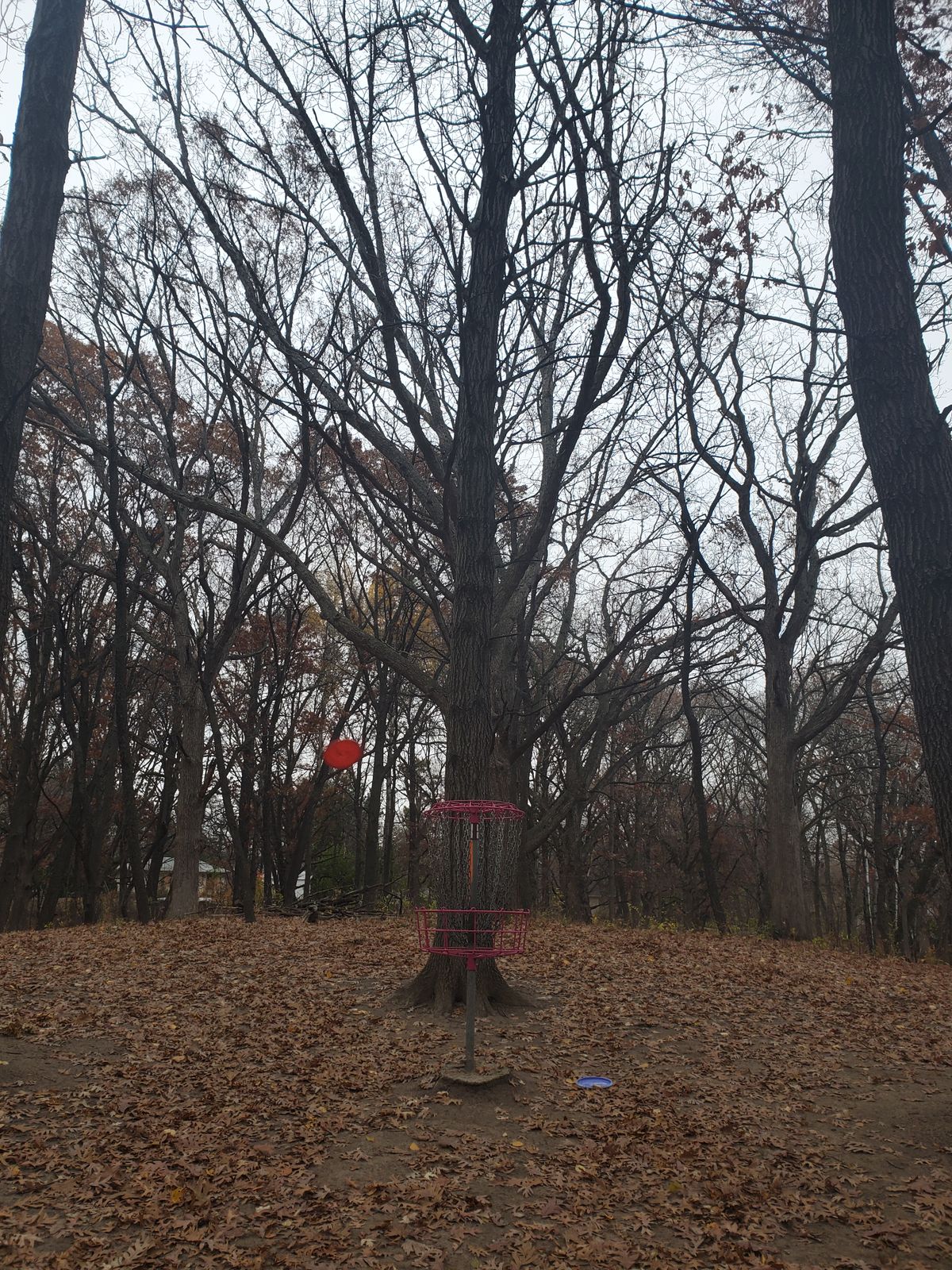 Will it go in?