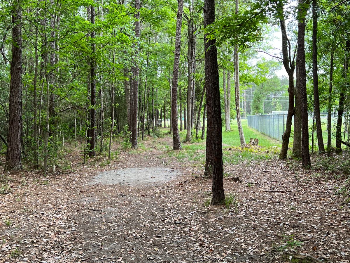 Hole 15 Blue