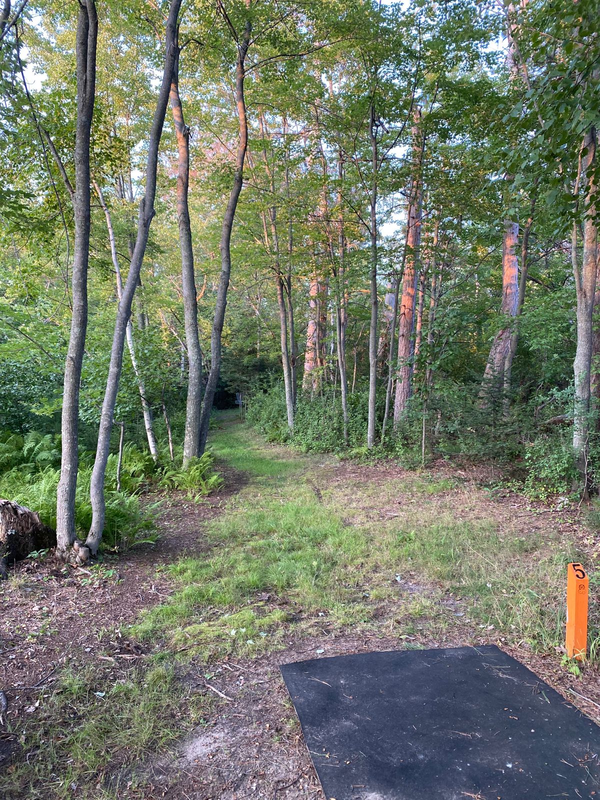 Hole 5