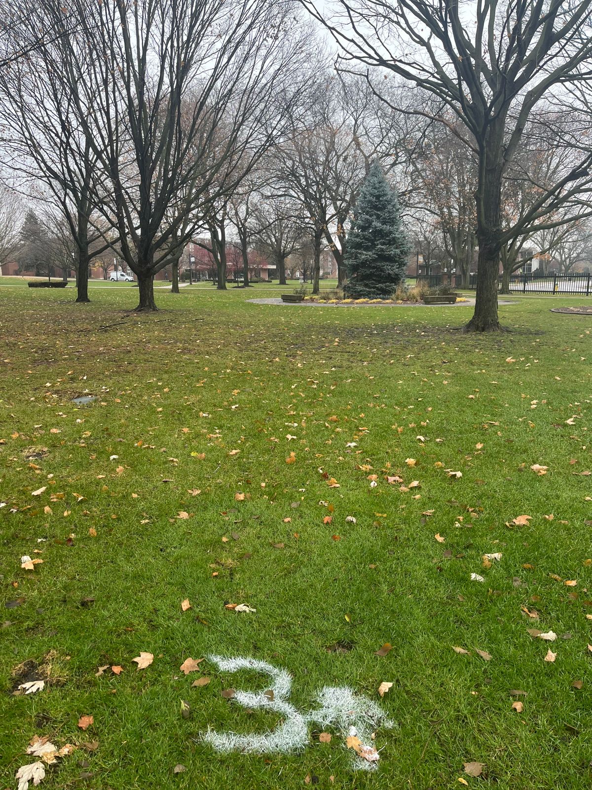 Hole 3 Tee