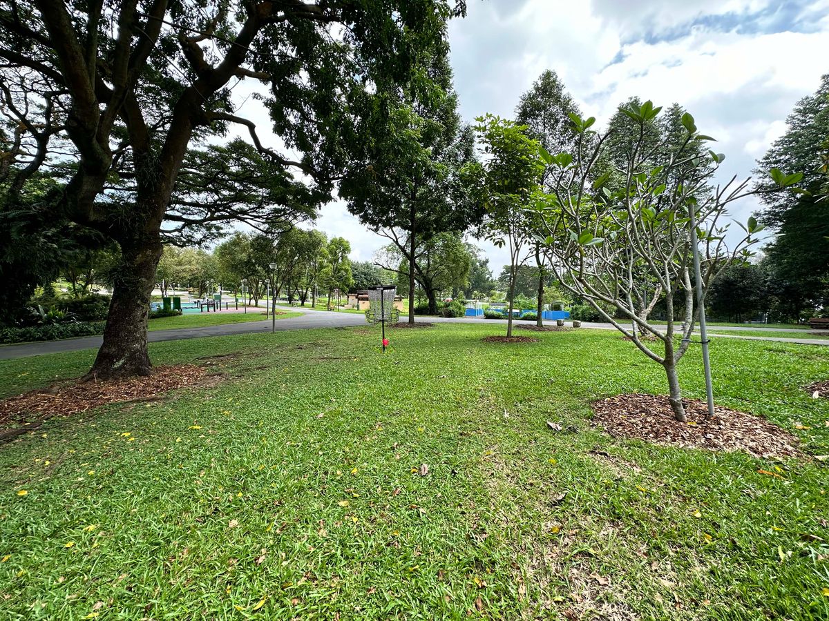 Hole 11 Basket