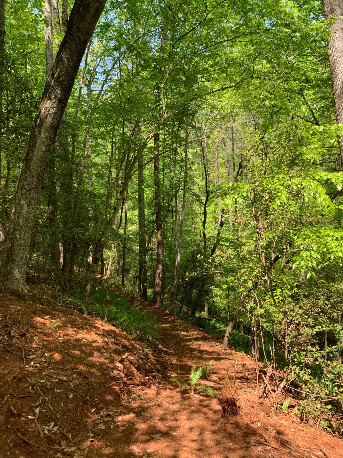 Trail between Hole #6 and Hole #7